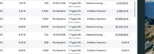 Ausschnitt aus dem Werbeanzeigenmanager, geschwärzt